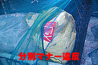 分別マナー違反